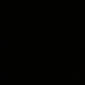 Meet your Posher, Abbie